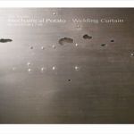 Mechanical Potato - Welding Curtain - fragment, stal patynowana, autor: Piotr Suchodolski, Gratia Artis